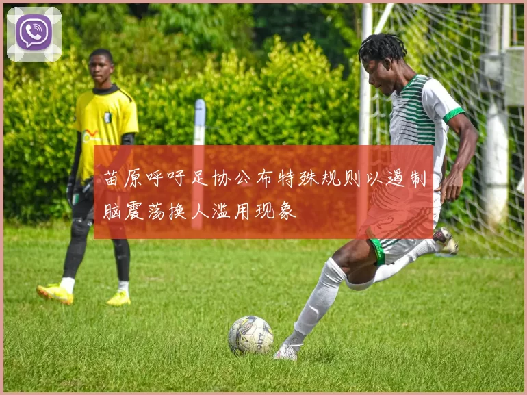 苗原呼吁足协公布特殊规则以遏制脑震荡换人滥用现象