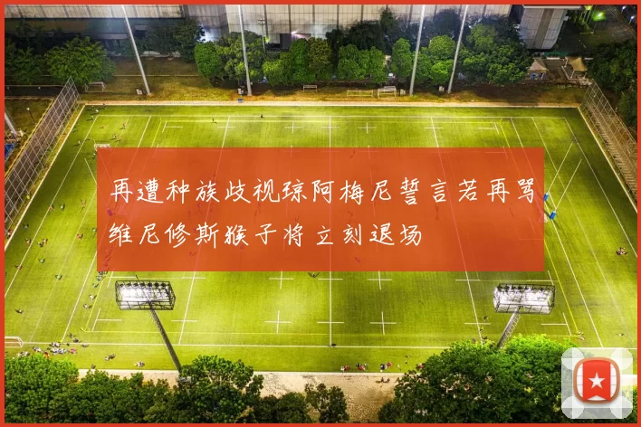 再遭种族歧视琼阿梅尼誓言若再骂维尼修斯猴子将立刻退场