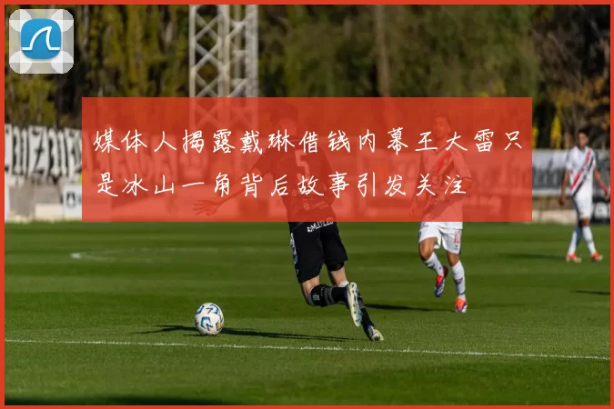 媒体人揭露戴琳借钱内幕王大雷只是冰山一角背后故事引发关注